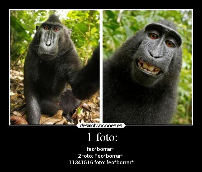 1 foto: - feo*borrar* 
2 foto: Feo*borrar* 
11341516 foto: feo*borrar*