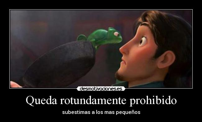 Queda rotundamente prohibido - 