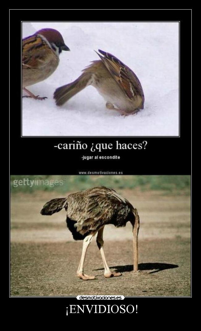 ¡ENVIDIOSO! -