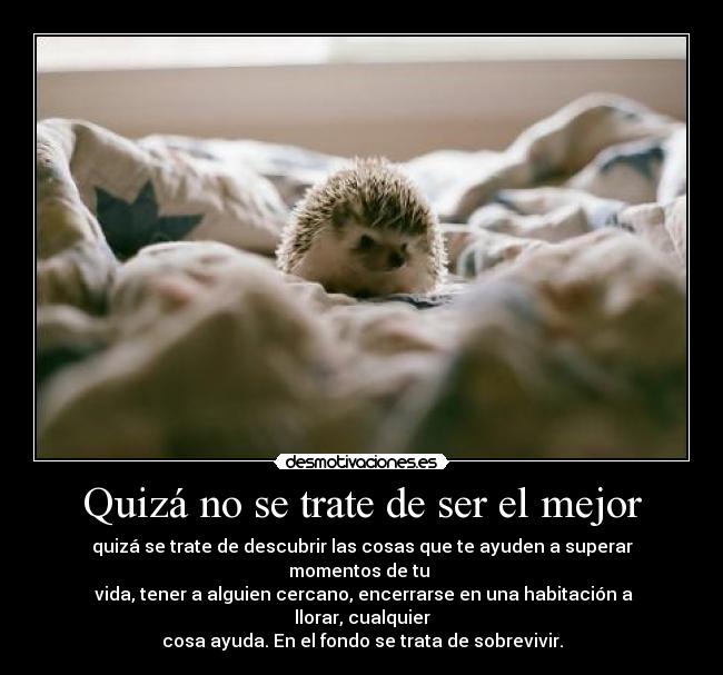 carteles soy una eriza muahahhahaha jiji desmotivaciones