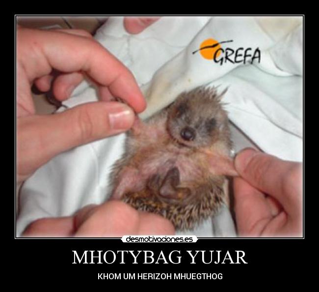 MHOTYBAG YUJAR - KHOM UM HERIZOH MHUEGTHOG