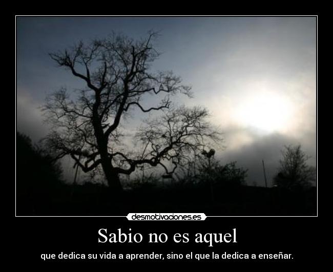 carteles desmotivaciones