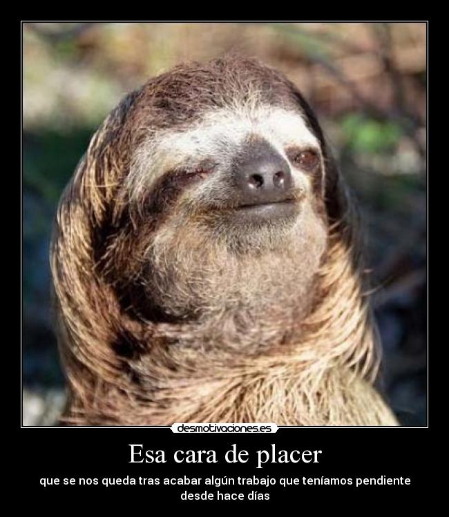 Esa cara de placer -