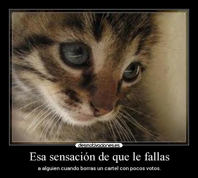 Esa sensación de que le fallas - a alguien cuando borras un cartel con pocos votos.