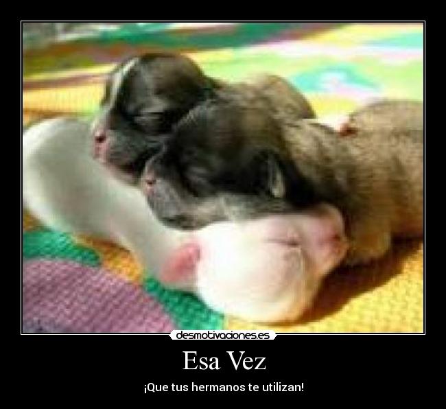 Esa Vez - ¡Que tus hermanos te utilizan!