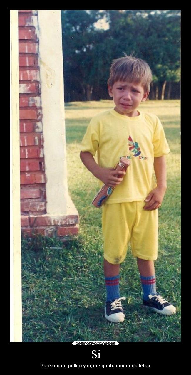 Si - Parezco un pollito y si, me gusta comer galletas.