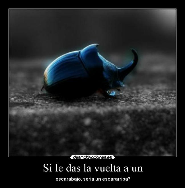 carteles escarabajo escararriba albatuenti desmotivaciones