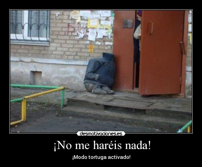 ¡No me haréis nada! - 