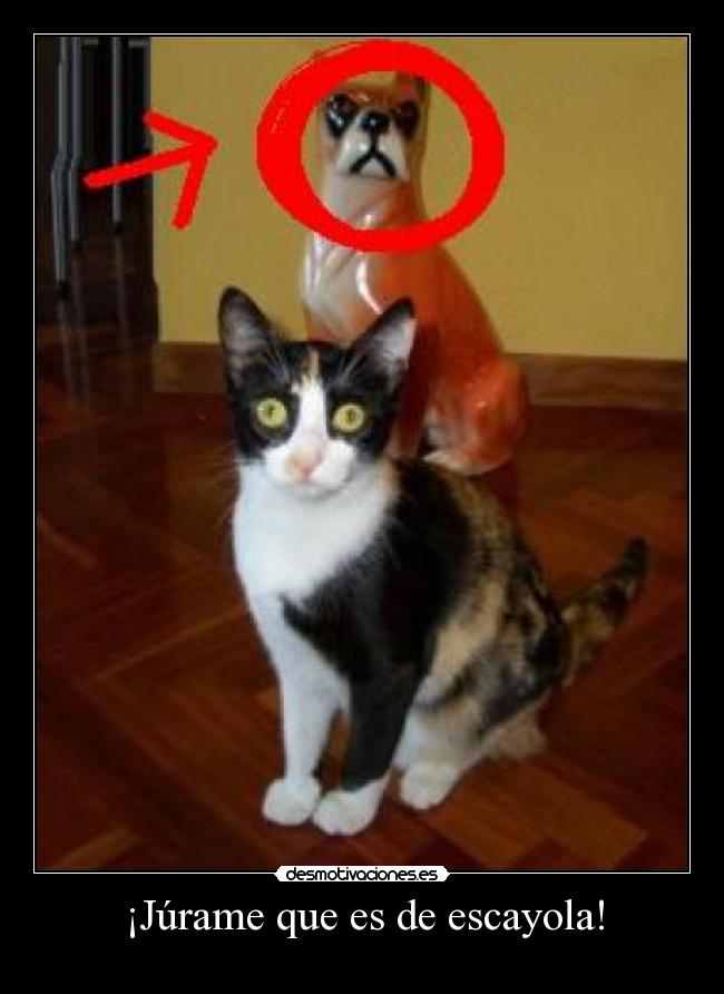 ¡Júrame que es de escayola! -