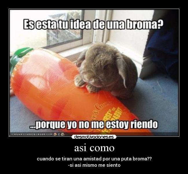 asi como - cuando se tiran una amistad por una puta broma??
-si asi mismo me siento