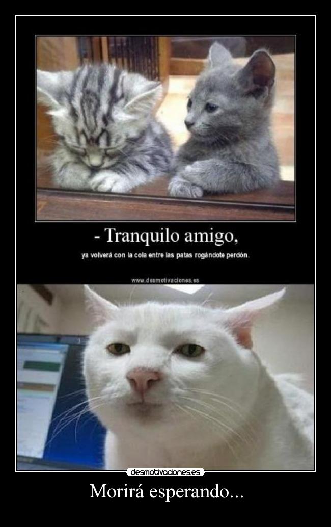 Morirá esperando... - 