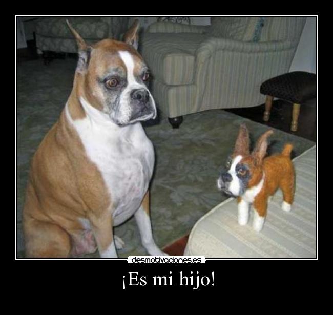 ¡Es mi hijo! - 