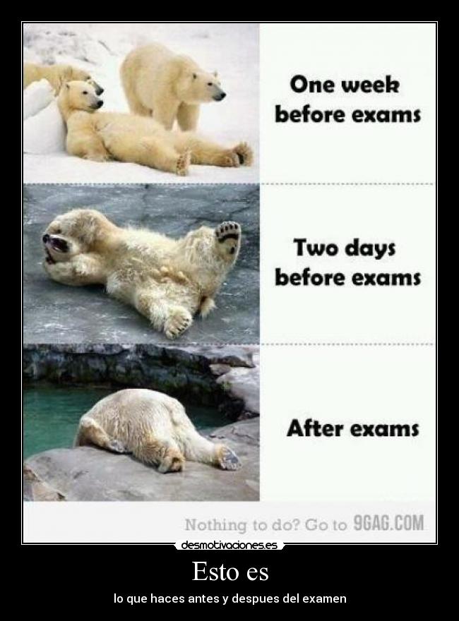 Esto es - lo que haces antes y despues del examen