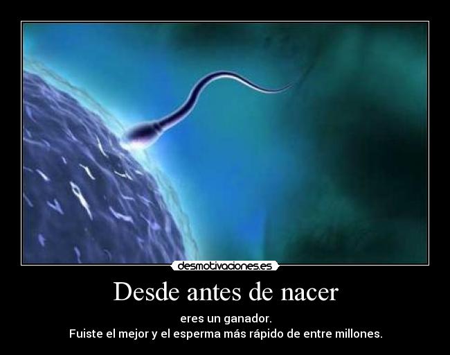 carteles esperma rapido ganador nacer millones mejor desmotivaciones