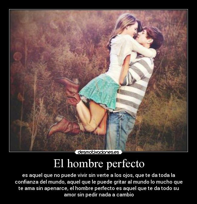 El hombre perfecto - 