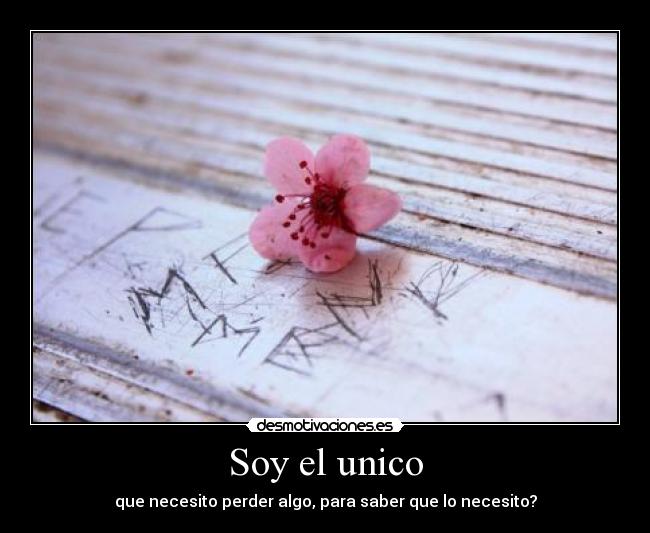 Soy el unico -