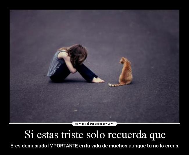 carteles eres importante desmotivaciones