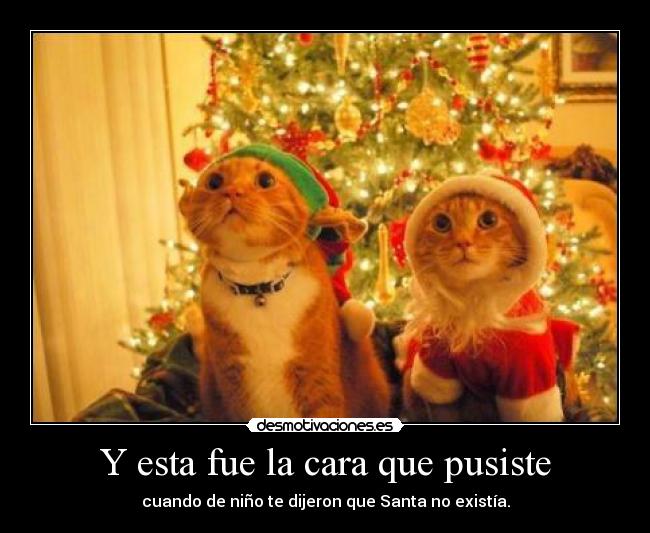 Y esta fue la cara que pusiste - cuando de niño te dijeron que Santa no existía.