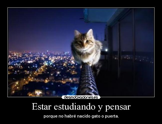 Estar estudiando y pensar -