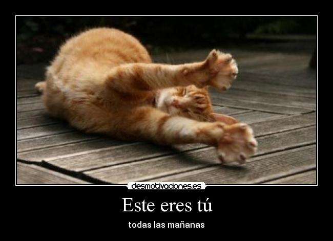 Este eres tú -