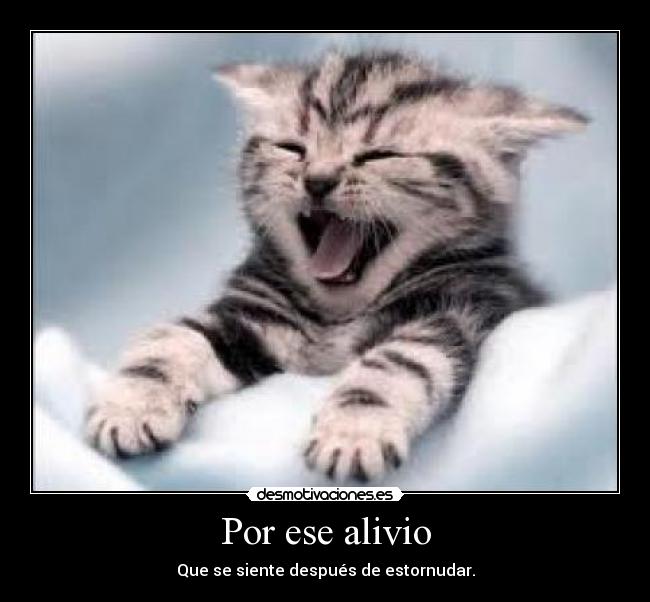 Por ese alivio - Que se siente después de estornudar.