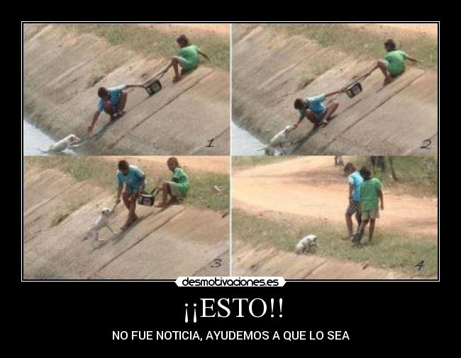 ¡¡ESTO!! - 