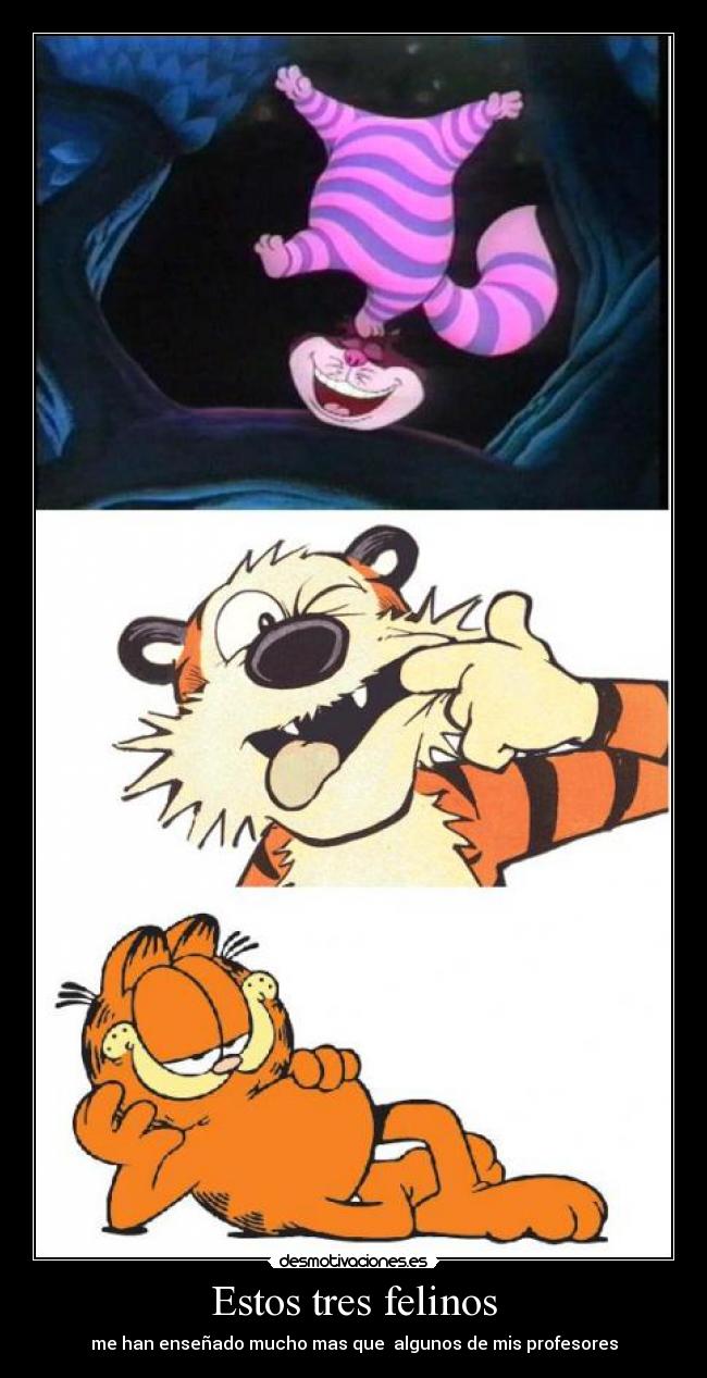 Estos tres felinos -