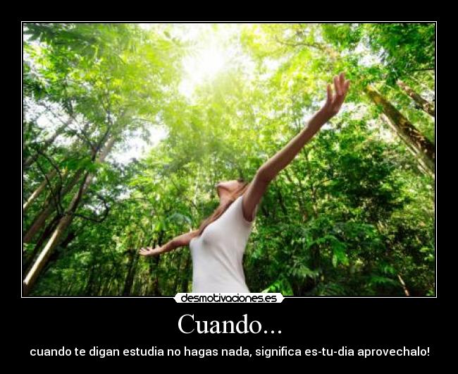 Cuando... - cuando te digan estudia no hagas nada, significa es-tu-dia aprovechalo!