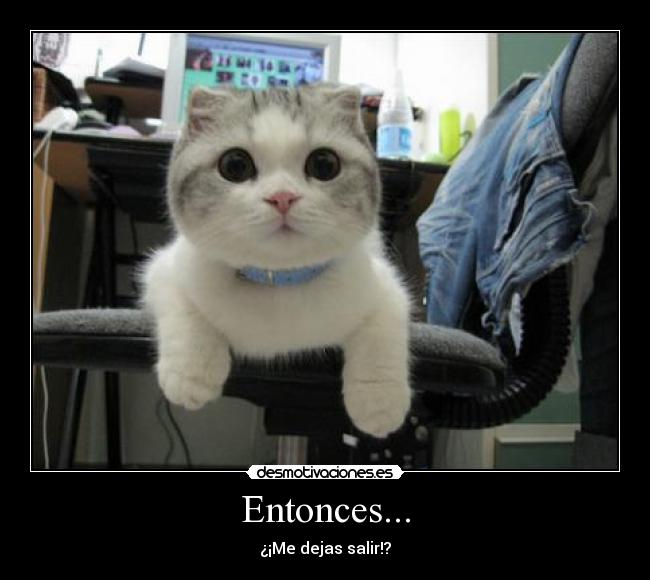 Entonces... - ¿¡Me dejas salir!?