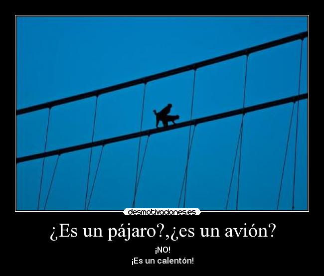 ¿Es un pájaro?,¿es un avión? - 