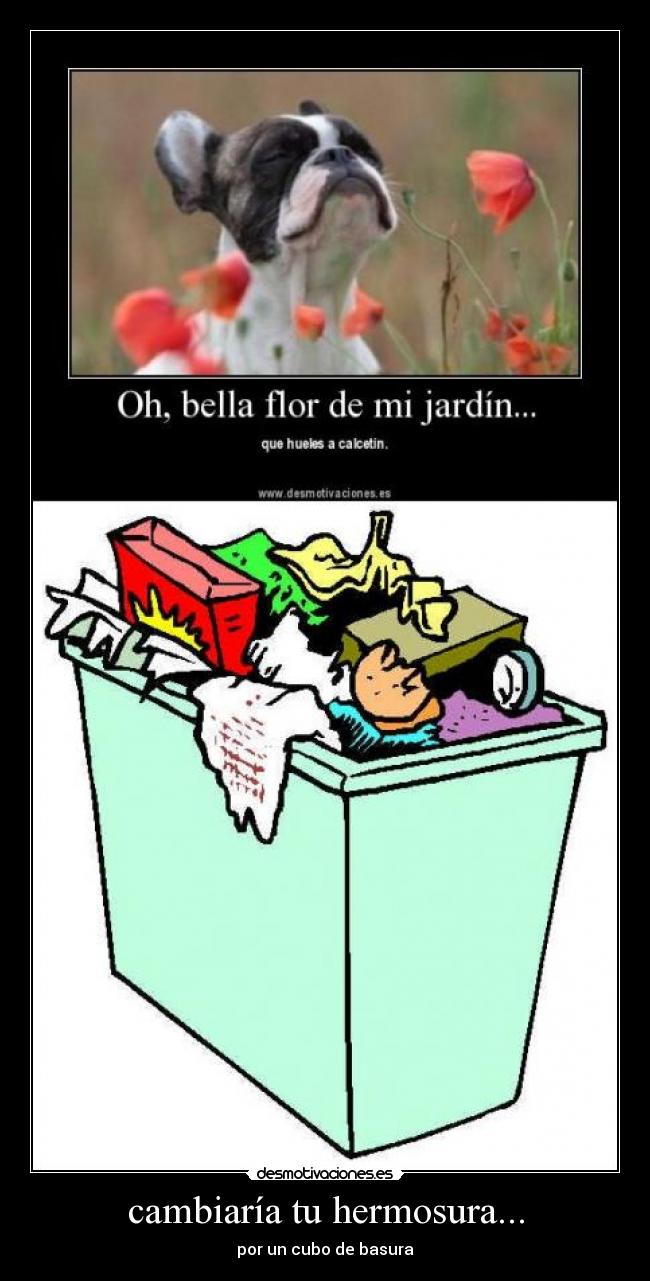 cambiaría tu hermosura... - por un cubo de basura