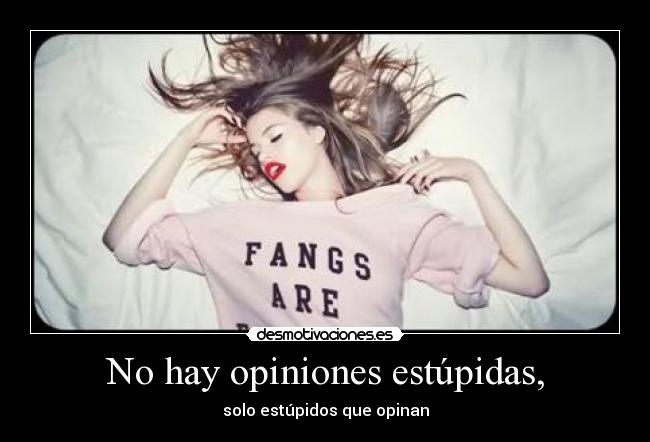No hay opiniones estúpidas, - 