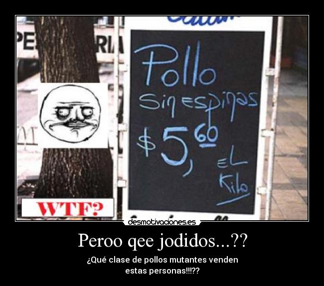 carteles memes desmotivaciones