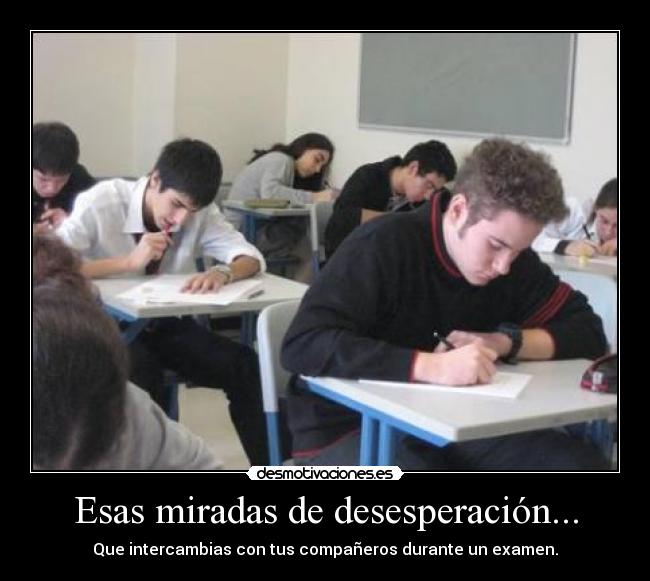 Esas miradas de desesperación... - 