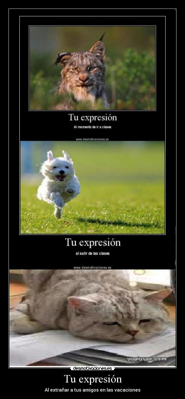 carteles sniff desmotivaciones