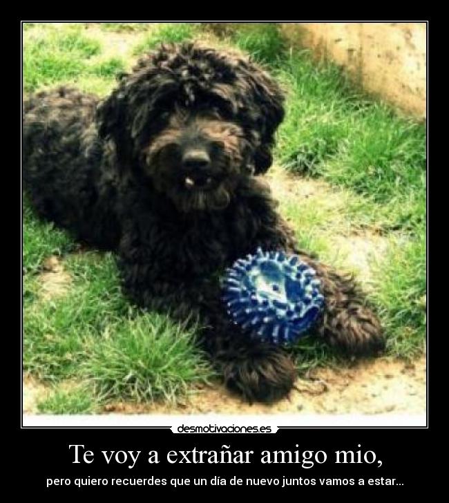 Te voy a extrañar amigo mio, - pero quiero recuerdes que un día de nuevo juntos vamos a estar...