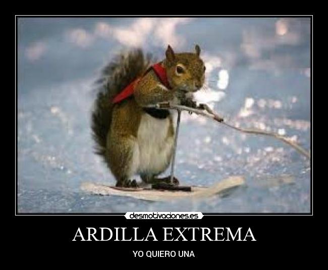 ARDILLA EXTREMA - YO QUIERO UNA