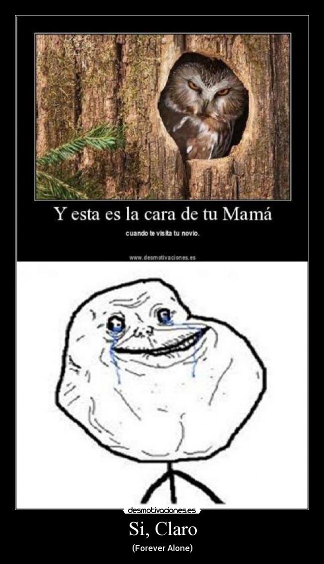 carteles forever alone sin novio desmotivaciones