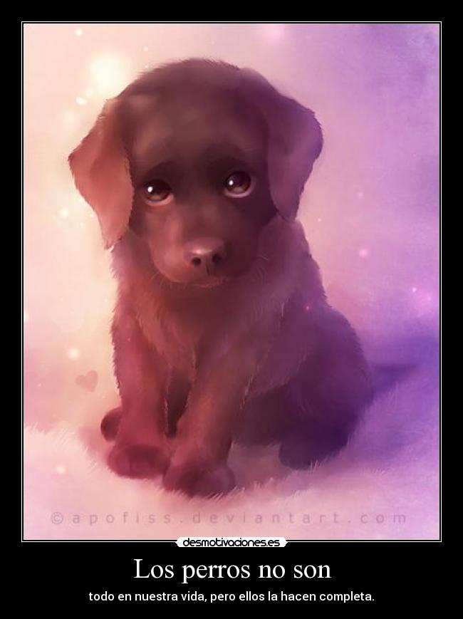 Los perros no son -