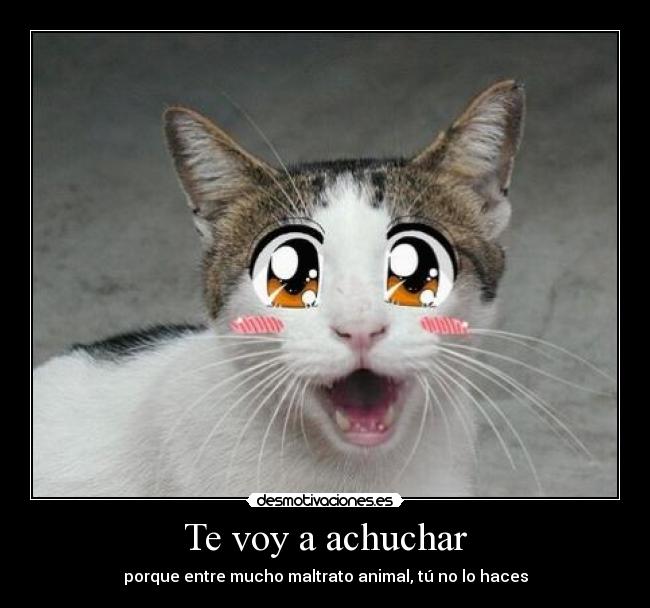 Te voy a achuchar - 