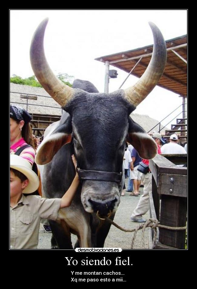 Yo siendo fiel. - Y me montan cachos...
Xq me paso esto a mii...