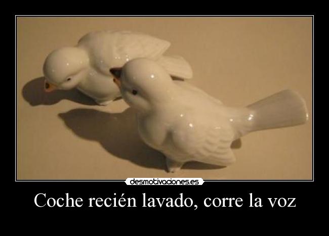 Coche recién lavado, corre la voz -