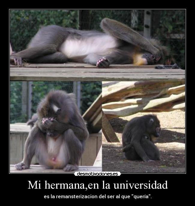 Mi hermana,en la universidad - 