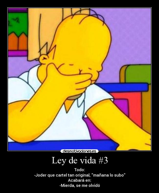 Ley de vida #3 -