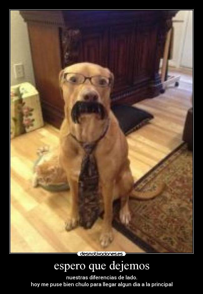 espero que dejemos - nuestras diferencias de lado.
hoy me puse bien chulo para llegar algun dia a la principal