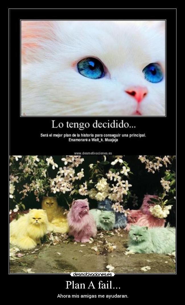 carteles fail fail desmotivaciones