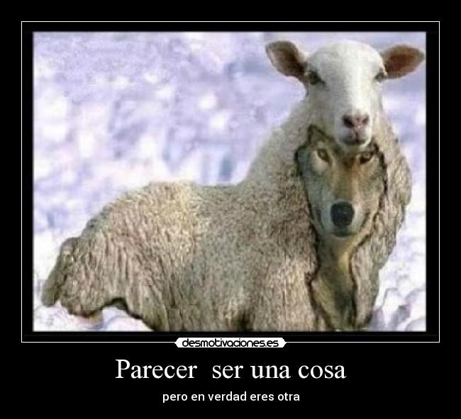 Parecer ser una cosa -