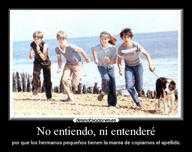 No entiendo, ni entenderé - 