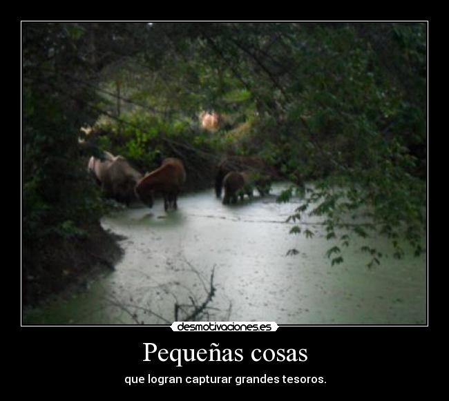 Pequeñas cosas - que logran capturar grandes tesoros.