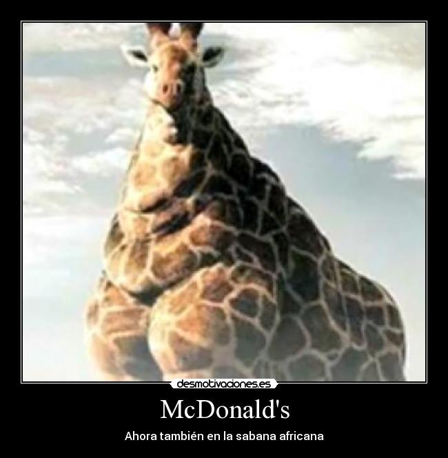 McDonalds - Ahora también en la sabana africana